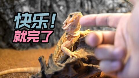 fe5b2eb1bf72268677414fc29e9bc80964a5b0aa.jpg@480w_270h_1c