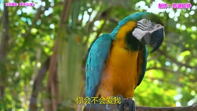 fe638acf4a4e45583b04586592d2e3cd42f46a5d.jpg@280w_158h_1c_100q.jpg