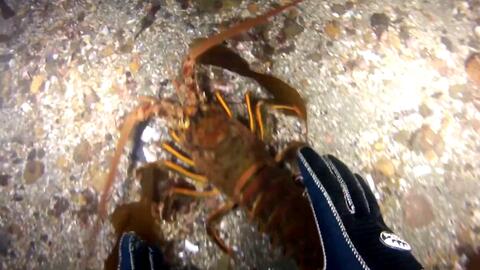 fe73f7eb569532c92a00ca0307d29009c56d6907.jpg@480w_270h_1c