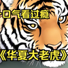 一口气看完爽漫【华夏大老虎】一个人重生成老虎的故事，我在网吧猝死后，重生成了兽中之王：重生之我变成了老虎