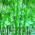 中国风山水竹林风景背景视频素材