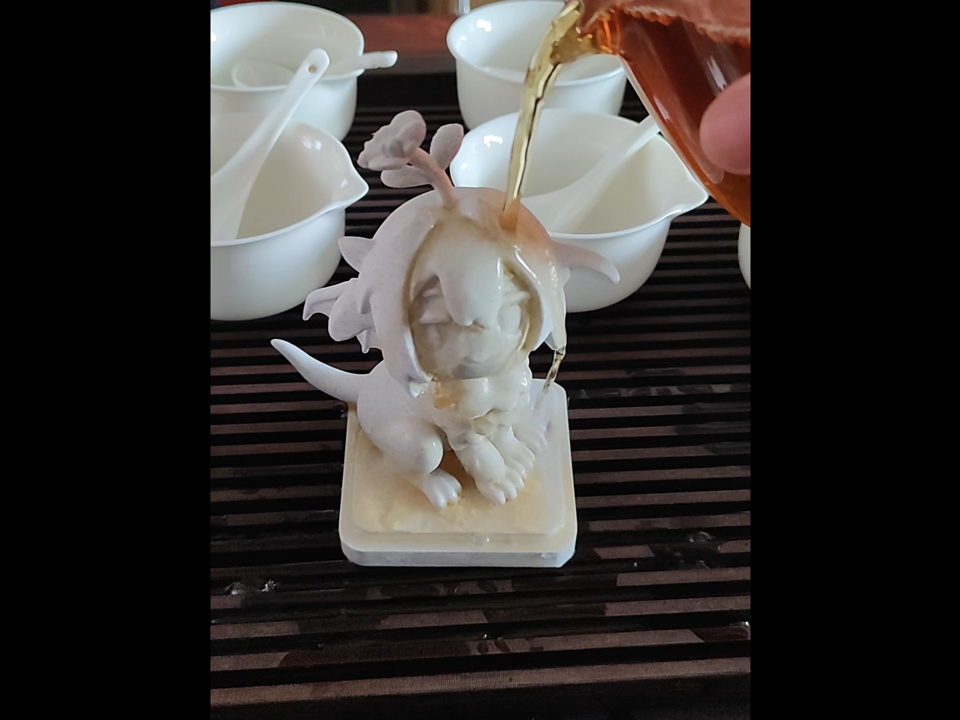 茶宠这一块～