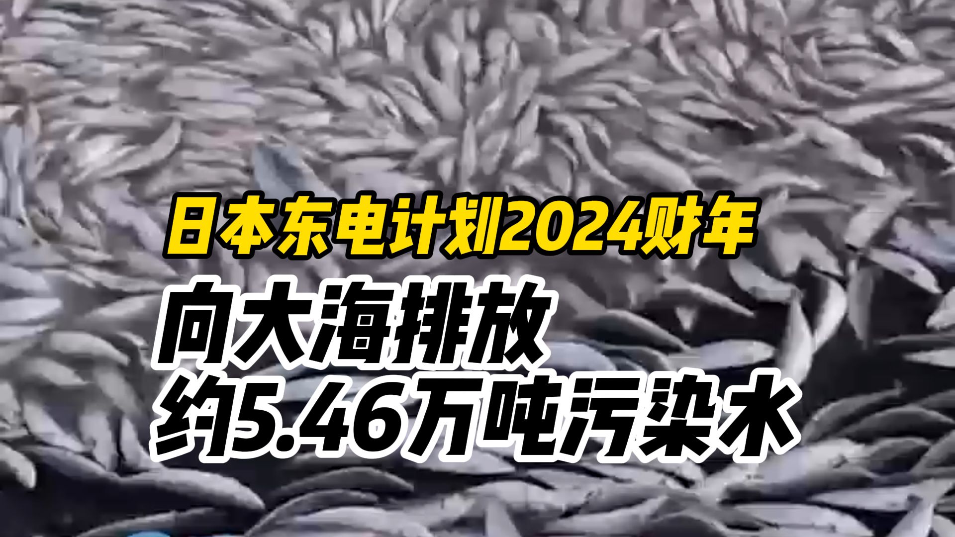 日本东电计划2024财年，分七次向海洋排放，约5.46万吨福岛第一核电站核污染水