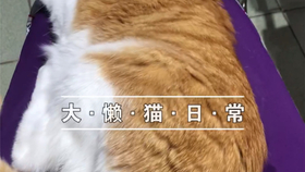 fec1065503e9896e99c189be763c434d49ee1840.jpg@280w_158h_1c_100q.jpg