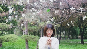 今天是主的生日简谱_今天是群主生日的图片(4)