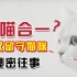 回到武汉丨猫咪教会我们的事，是感动啊丨毛茸茸警告
