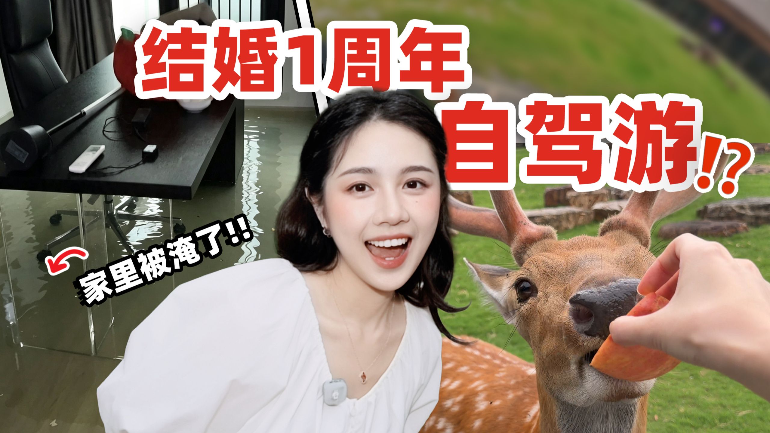 结婚一周年万万没想到是这样的…⁉️全新理想L8