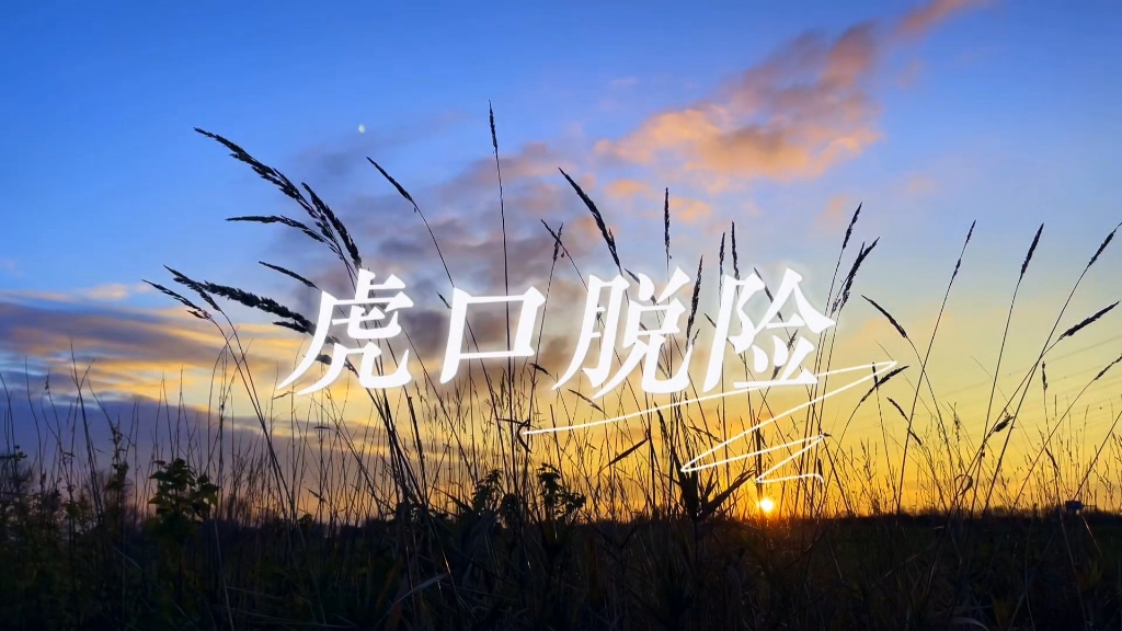 《虎口脱险》伴奏 老狼