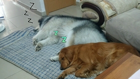 怎么能改掉洁癖 ff44dddb067ec3191b56bb30a892058bb1f8e401.jpg@280w_158h_1c_100q.jpg
