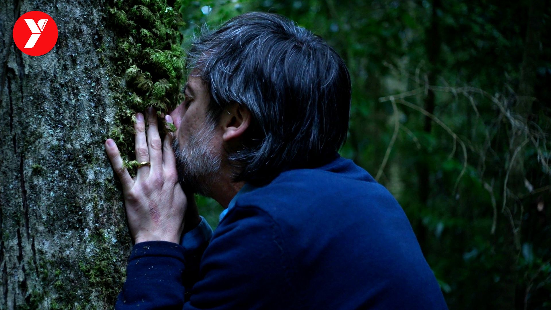 【越哥】一镜到底的黑马神作，不是恐怖片，却比恐怖片恐怖百倍！