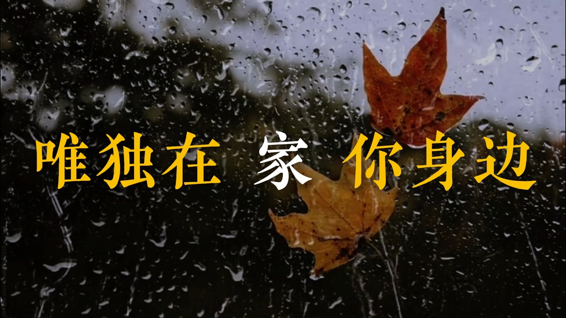 落叶归根歌词排版（Live-王力宏&单依纯）