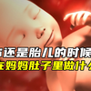 当你还是胎儿的时候，都在妈妈肚子里做什么