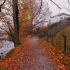 【超清】秋天雨晨漫步游瑞士施皮茨(Spiez)｜沿着图恩湖散步