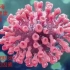 新冠病毒对健康的影响以及预防消毒方法的具体分析【生物学研究】
