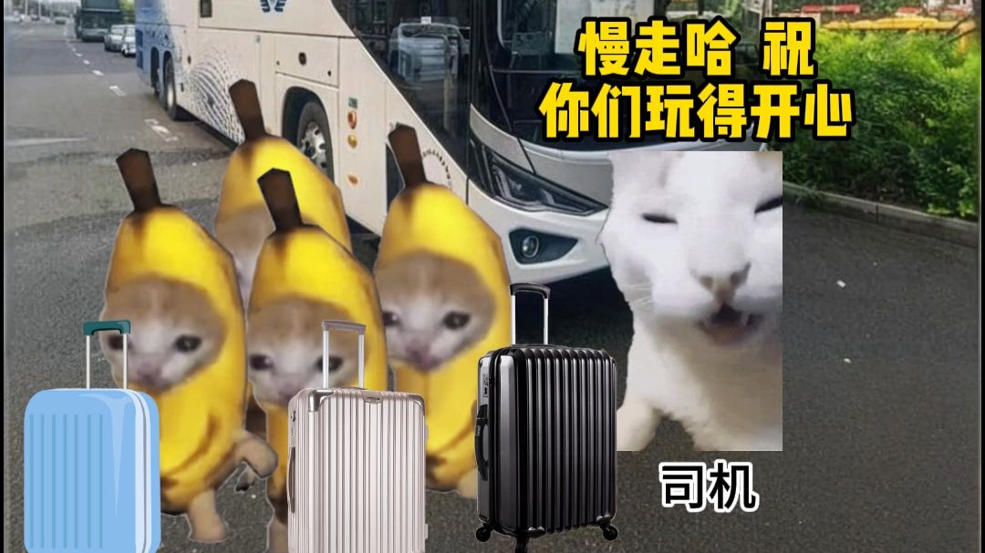 当你打的顺风车超大
