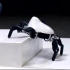5个仿生机器人，让你看到全球顶尖黑科技