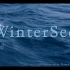 ????????·歌单｜冬天在听海 ♫ 轻音乐/钢琴/白噪音