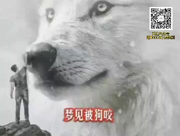 梦见小狗死了，梦境背后的深层含义与心理解析