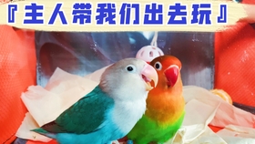 ffd1ca1efa6d9ef98294b4a6ac3f08bbd486c6e4.jpg@280w_158h_1c_100q.jpg