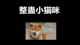 哔哩哔哩是个什么东西 ffdbd3b3a95ea729674d6bda89b3611018319cdc.jpg@280w_158h_1c_100q.jpg