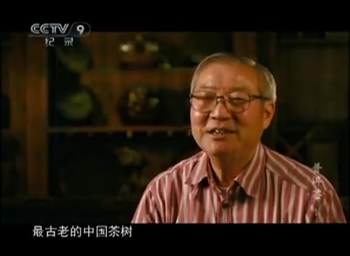 《普洱茶》第一集 茶与云南 _ CCTV纪录