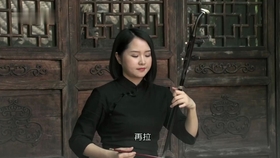 二胡曲谱教学视频_陶笛曲谱12孔(3)