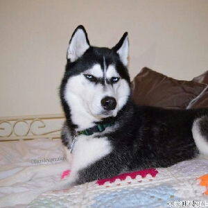 电影轮播。主播在,你们看什么可以说一下 - 随