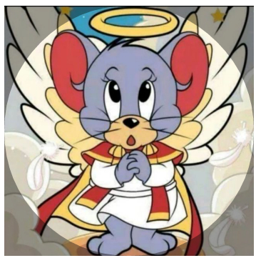 贴吧-天使泰菲的猫和老鼠:本视频可能会引起您的不适.