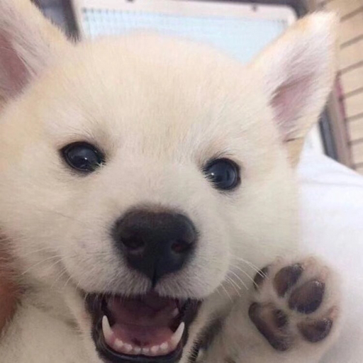 ⚠