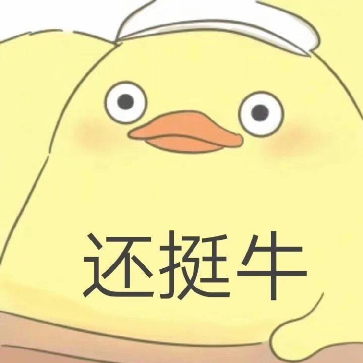 关注      