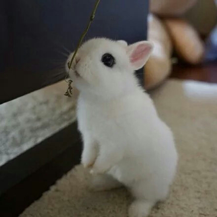 我的世界1.7.10拔刀剑生存EP1.起源_单机联机