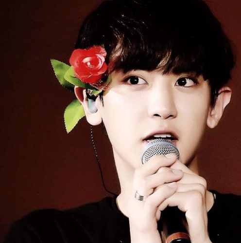 2020灿烈sab日程本拆箱