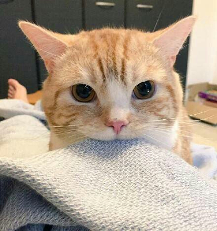 早起傻一天 - 鱼莲biuu - 哔哩哔哩直播