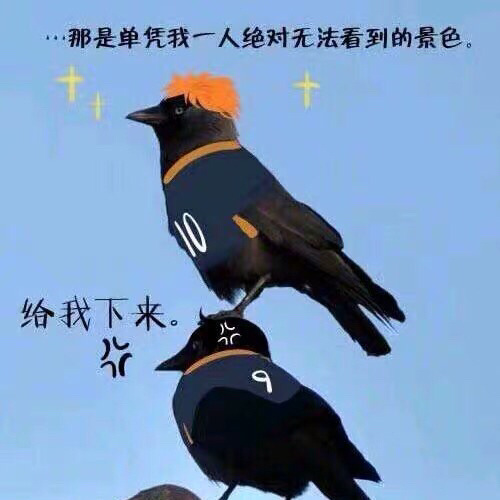 牛哔哩,一个只有评论的网站