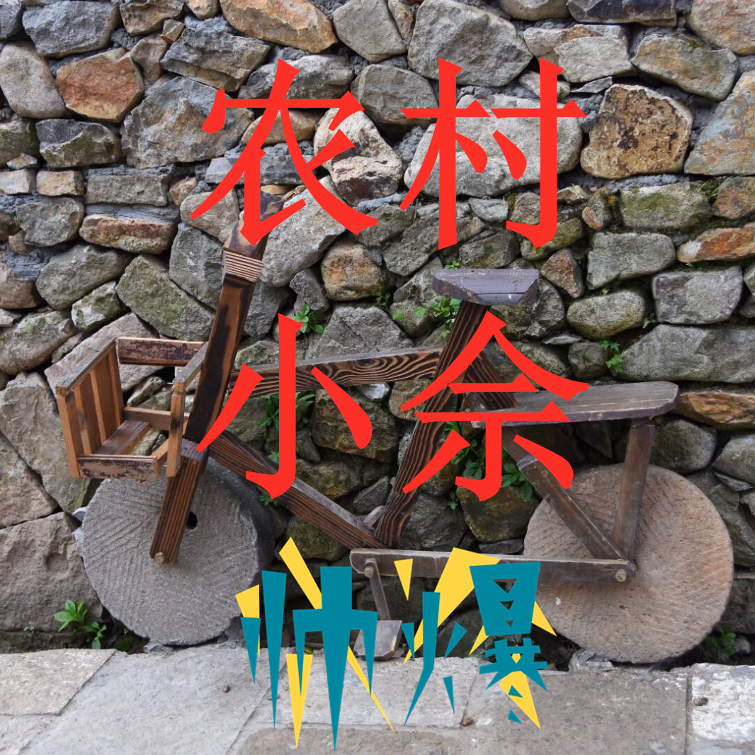 农村大妈地里种菜,顺便参观了满园种的柑橘,柑橘个头还不小