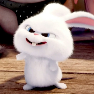 上一只兔的投稿视频 - 树上一只兔 - 哔哩哔哩直播