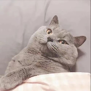 ⚠