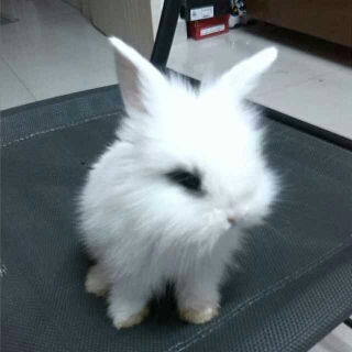 自制电子点火头_科技人文_科技_bilibili_哔哩哔