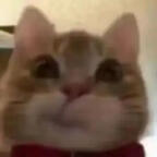 up