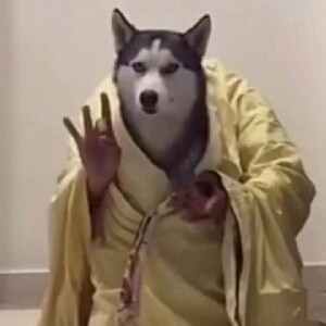 精苏狂喜之趁你病要你命