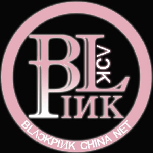 blackpink中文网的投稿视频