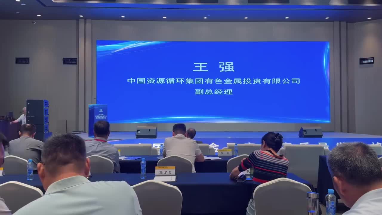 双碳引领，数智赋能：科技创新驱动再生有色金属产业新质生产力-中资环副总经理 王强