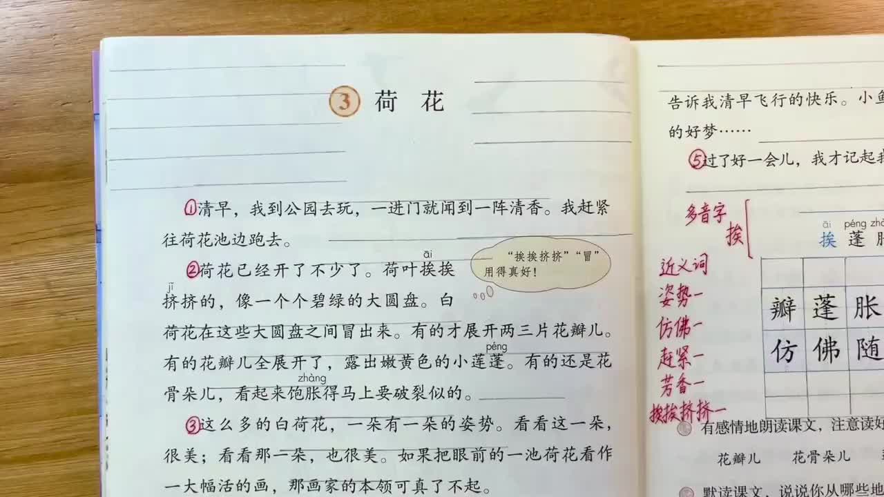 07.3-荷花