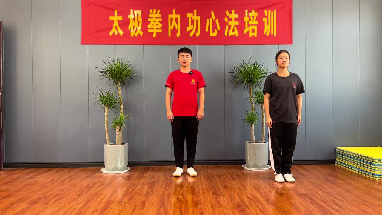 第43节太极步—右后方铲步