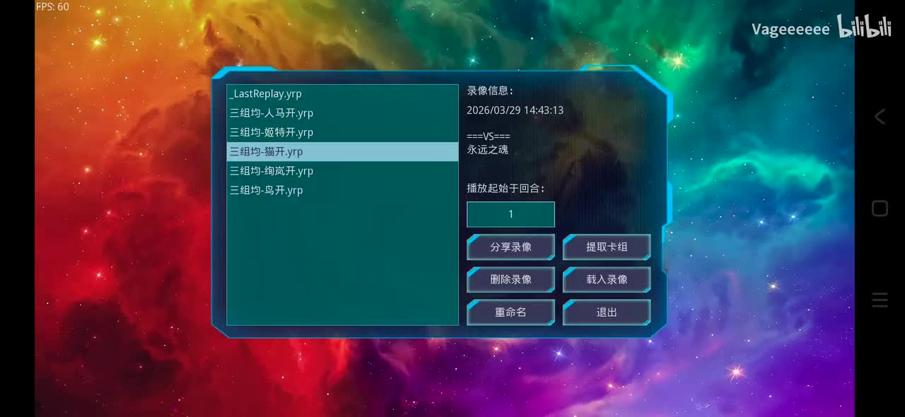 猫开