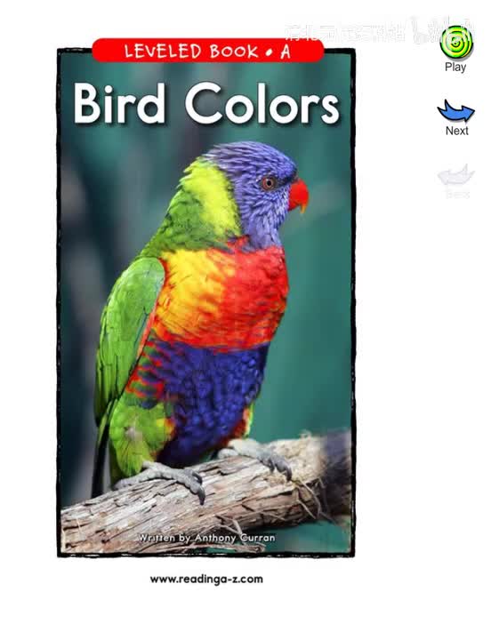 169-【069 A级】Bird Colors