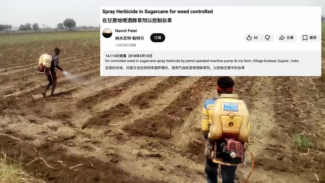 Sugarcane Herbicide Spray India