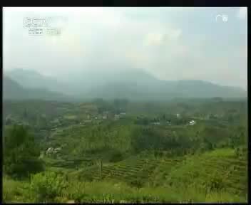 龙延阳天 2011.9.8