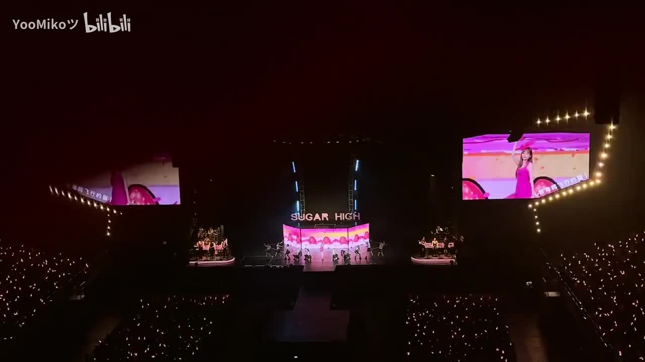 教海鸥飞行的猫