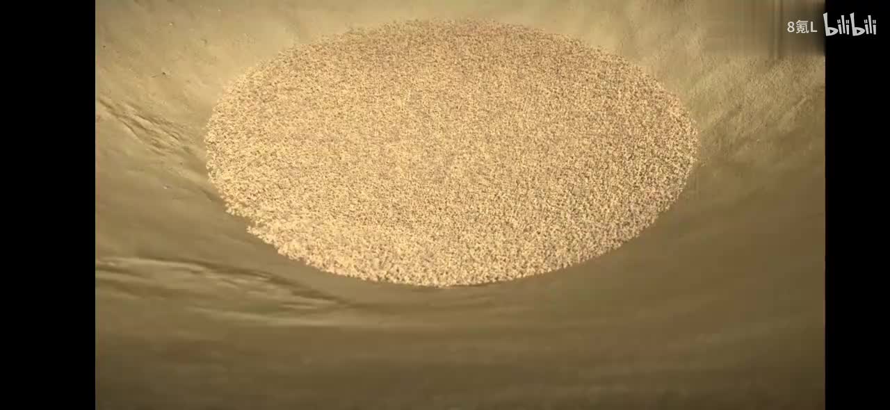 全230集~孩子一看就涨知识的儿童科普纪录片（昆虫篇）适合3-15岁朋友观看